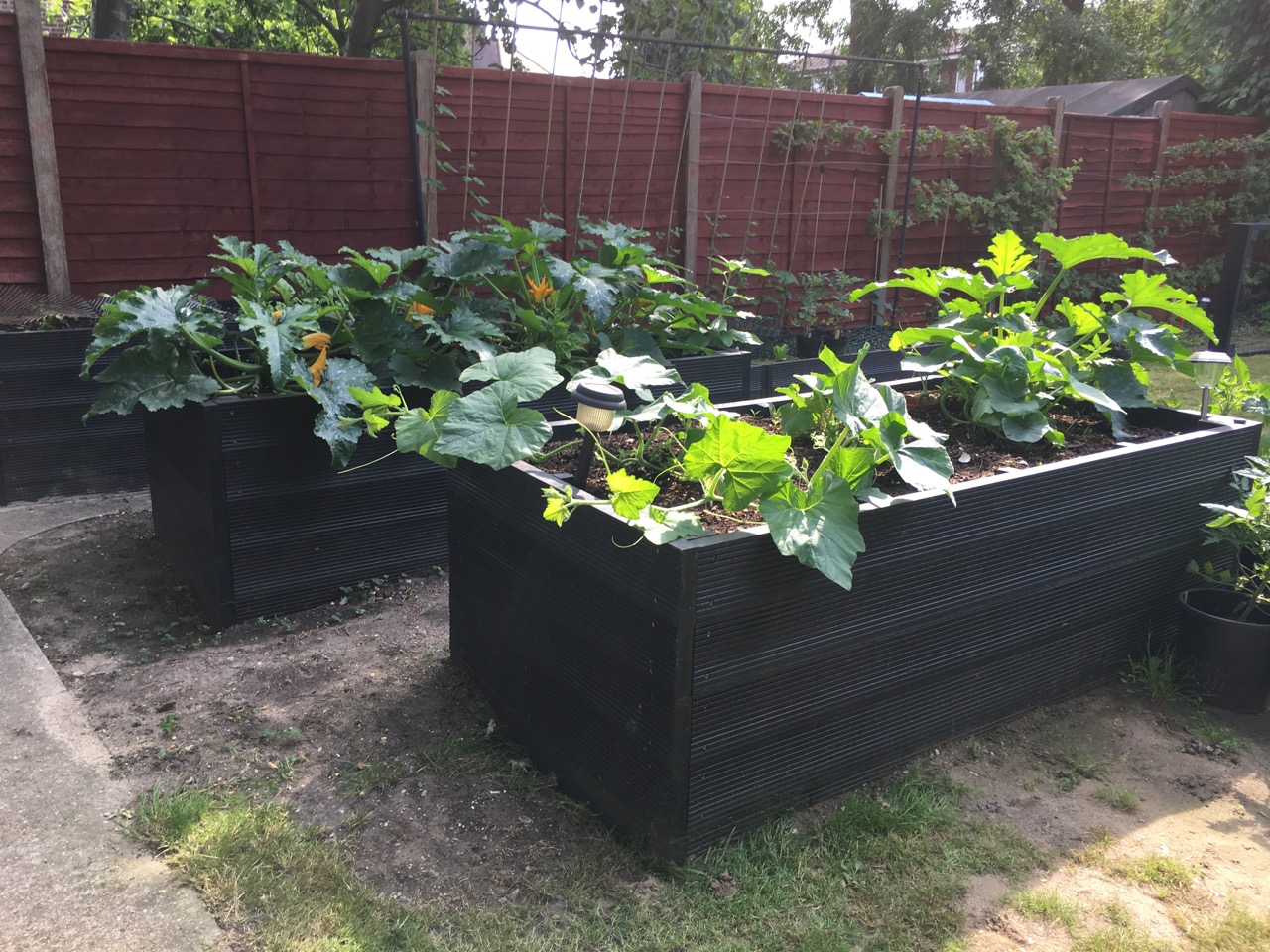 Recycled Plastic Planters and Raised Beds