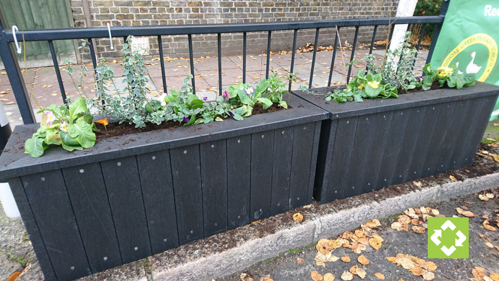 Recycled plastic planters with eight-inch plants growing. The plants are growing nicely and will be added to with the new planting project currently being planned.