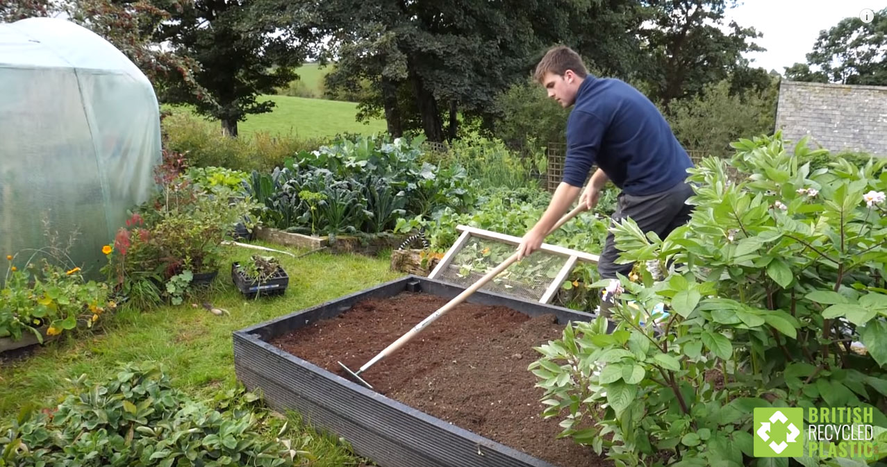 Huw Richards raking soil in a recycled plastic raised bed on his organic allotment during the summer, surrounded by abundant vegetables.