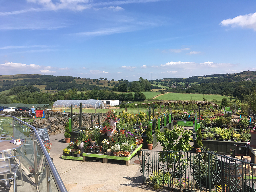 Totties Garden Centre in the sunshine