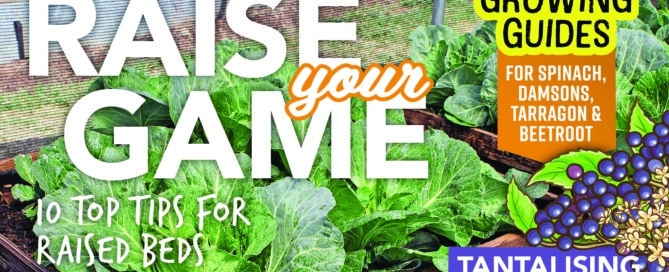 Recycled plastic raised beds featured in Kitchen Garden magazine