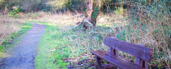 A recycled plastic Harewood bench at Marconi Ponds Nature Reserve