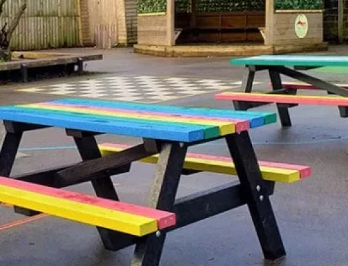 Recycled Plastic Picnic Tables for Schools — What to Look For