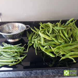 Garden to table growing. Picture of runner beans in kitchen