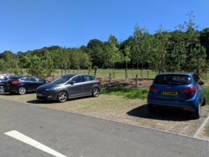 Grassed parking bay with Hebden X Grid