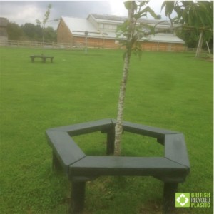 Recycled plastic lumber planks used to build a pentagonal bench around the trunk of a tree