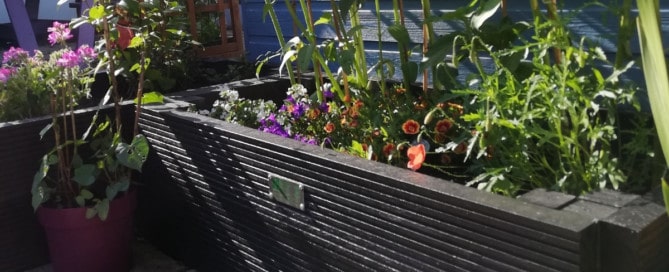 Our narrower recycled plastic raised bed kits at 500mm wide are perfect for urban gardens
