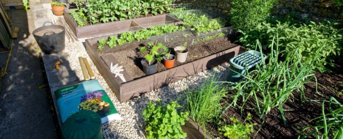 Recycled plastic raised beds