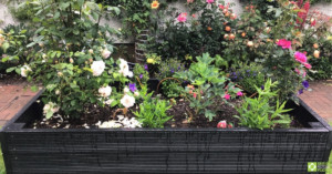 Flowers of many colours growing in a BRP recycled plastic raised bed.