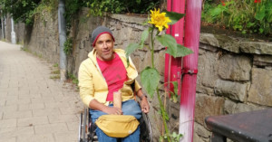 Krishna and bus stop sunflower