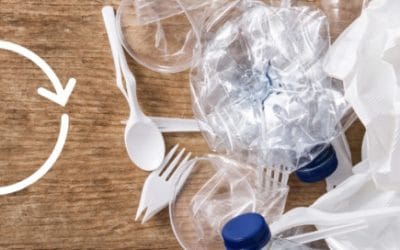 The importance of a circular economy for plastic