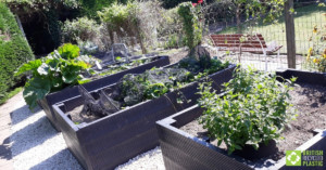 Raised beds engineered from British Recycled Plastic