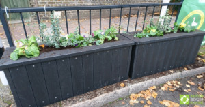 Brand new smog shield planters at Goose Green School