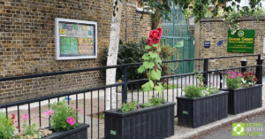 Smog shield planters in full bloom. Engineered from British Recycled Plastic at Goose Green School 02