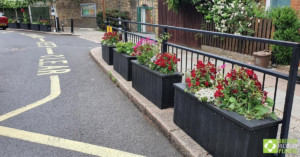 Smog shield planters in full bloom. Engineered from British Recycled Plastic at Goose Green School 01