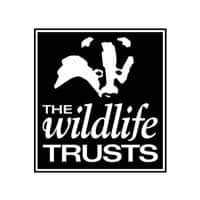 The Wildlife Trusts logo