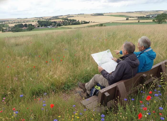 bench-Harewood-brown-recycled-plastic-bench-hikers-meadow copy copy a couple reading a map looking at the coutryside on a British Recycled Plastic Harewood Bench