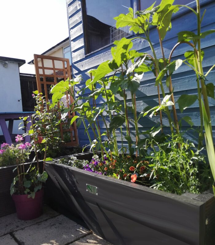 A 500mm wide recycled plastic raised bed is perfect for an urban garden