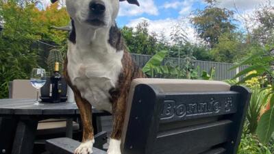 The recycled plastic Roundhay garden dining set in a private garden, guaranteed for 25 years