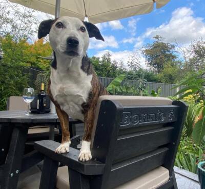 The recycled plastic Roundhay garden dining set in a private garden, guaranteed for 25 years