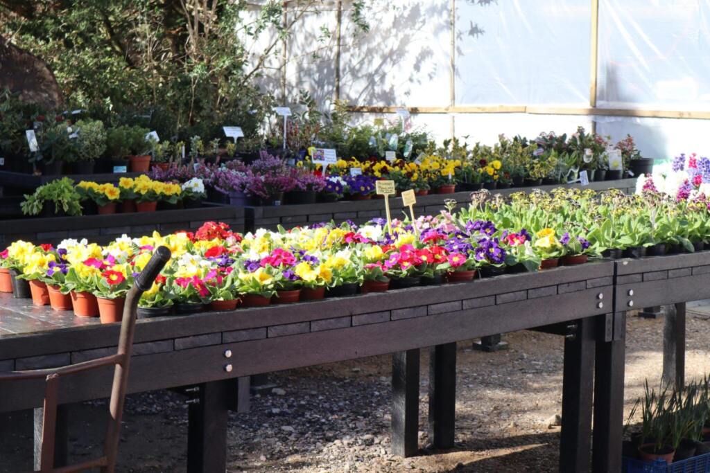 Recycled plastic artificial lumber can be used for many applications and is seen here in action as display tables for potted plants at a nursery in Devon