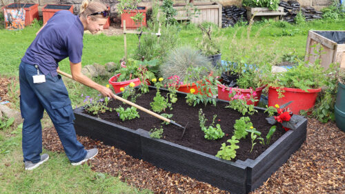 British Recycled Plastic raised beds in a community garden - click to visit the shop