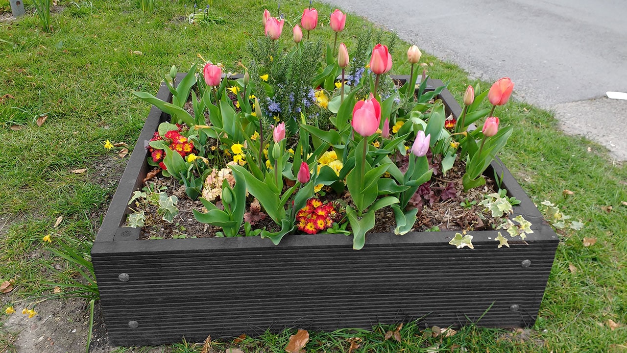 British Recycled Plastic raised beds look great with tulips - click to visit the shop