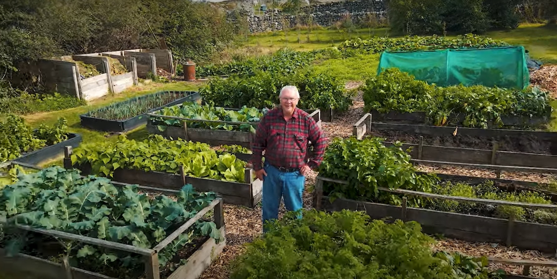 John Harrison stands among his raised beds