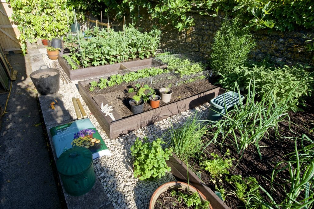 Finished raised beds