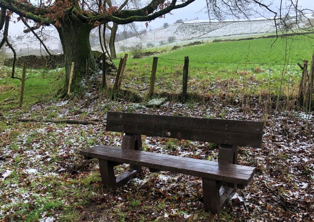 Harewood bench at Platt's Wood