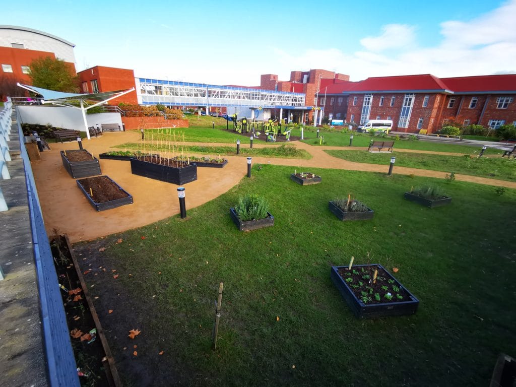 Raised beds outside Broadgreen Hospital