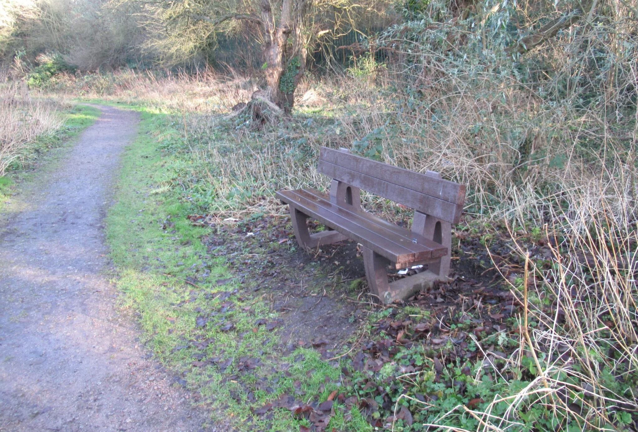 Harewwod bench at Marconi Ponds
