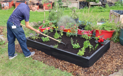 Raised bed planting – planning for great results