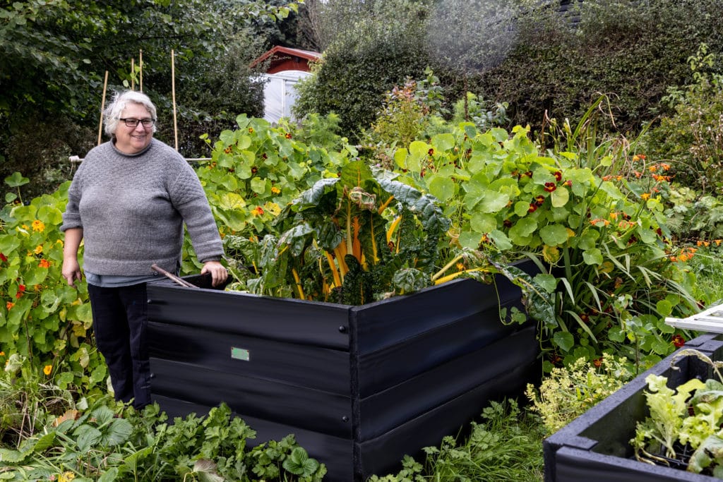 Hannah and her raised beds