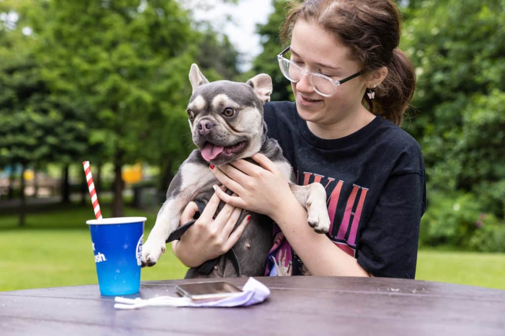 Dog at Calder picnic table