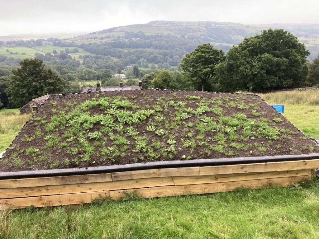 Living roof using Hebden X-Grid