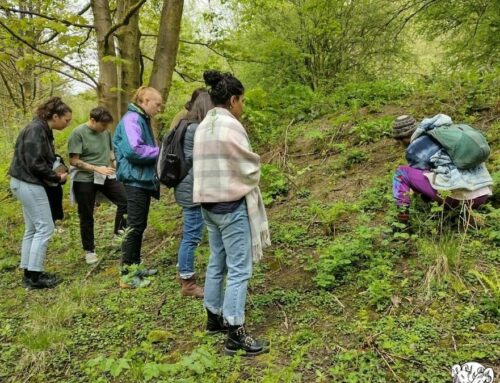 Free food – Get Foraging on Wild Foods Day, October 28th
