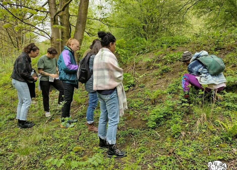 Get foraging on Wild Foods Day