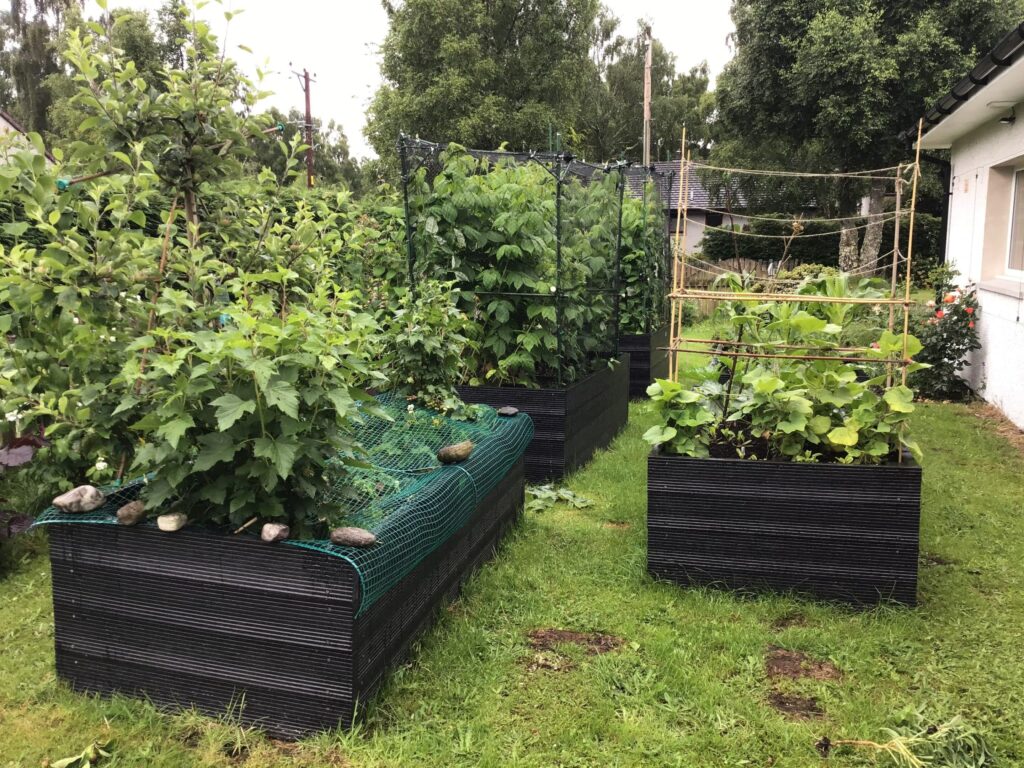 Recycled plastic raised beds
