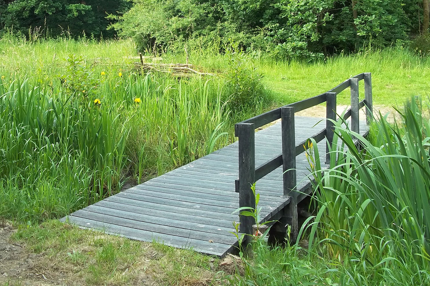 A recycled plastic boardwalk used as a bridge across a stream