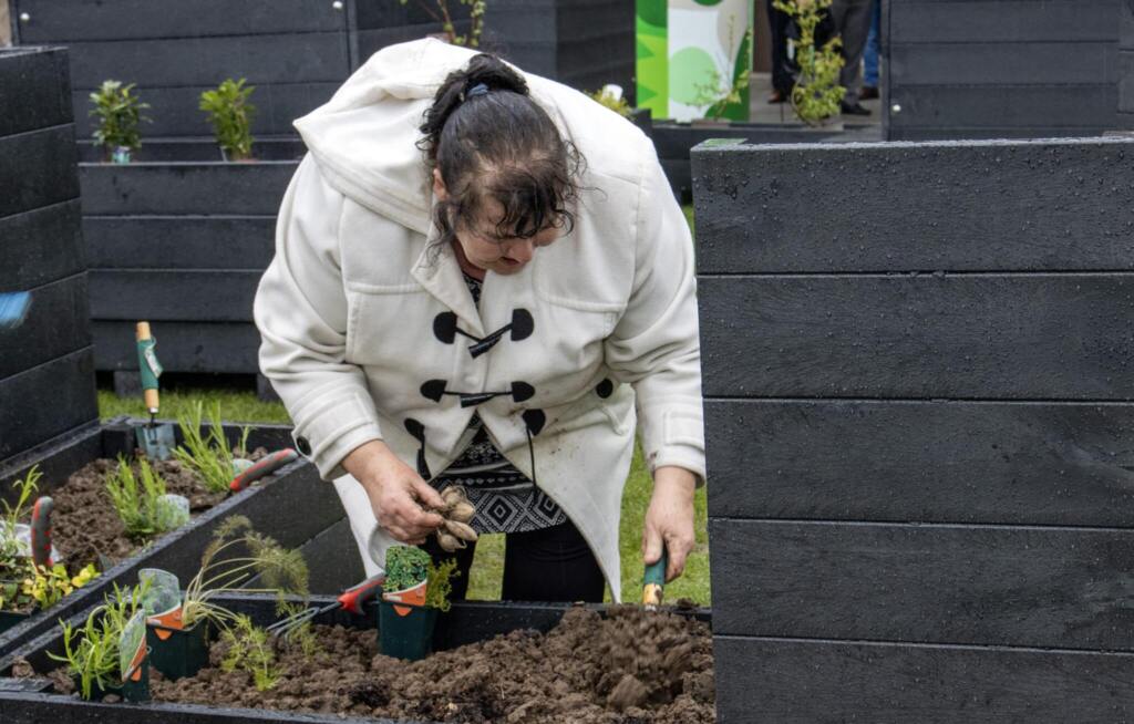 Net-Zero Cities