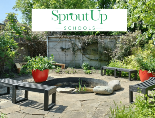 Empower and Inspire: Unleashing the Green Potential with Outdoor Education UK through Sprout Up Schools