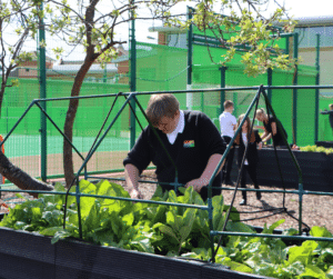 Sustainability in Schools