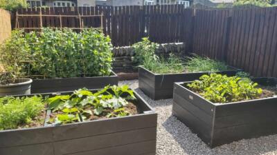 Recycled plastic raised bed kits full of vegetables