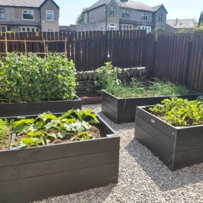 Recycled plastic raised bed kits full of vegetables