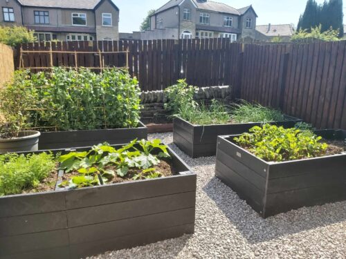 Recycled plastic raised bed kits full of vegetables