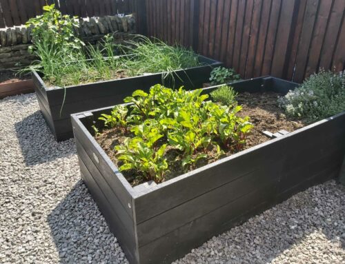Recycled Plastic Raised Beds bring a Garden to Life