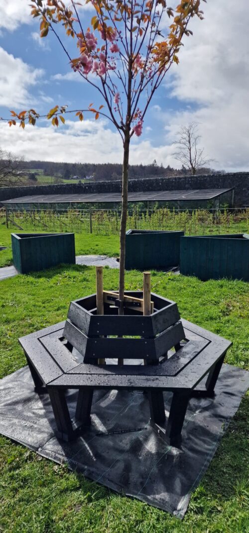Hexagonal bench with a tree in the center, in a field with green valley views and a bright blue sky.