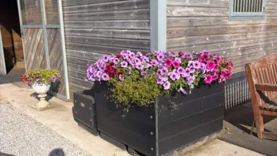 Planter B2C