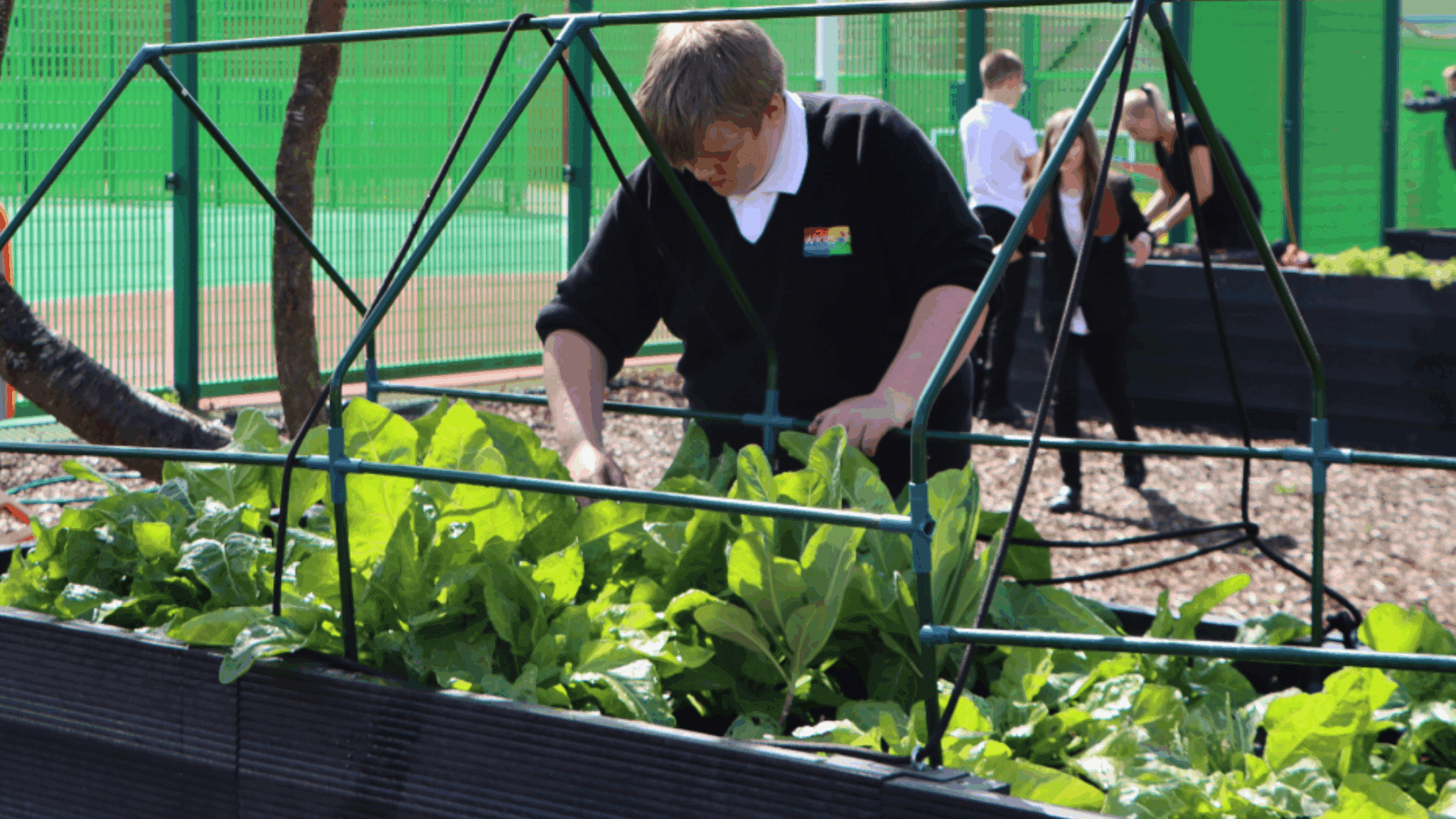 a child planting in a raised garden bed